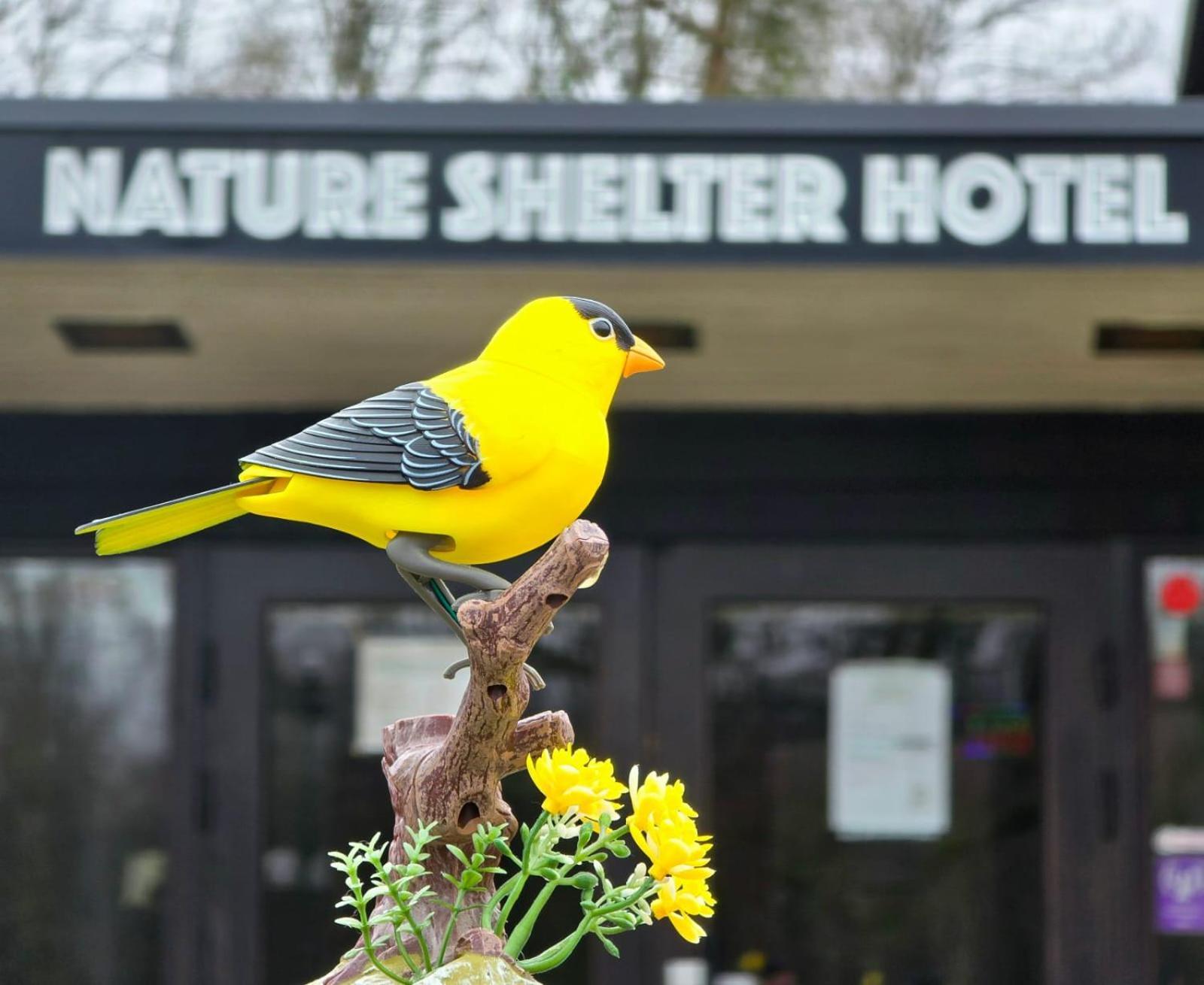 Nature Shelter Hotel Åsljunga Kültér fotó